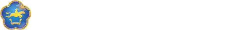 Управление по вопросам противодействия коррупции Республики Тыва